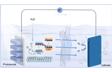 Boosting H2S conversion with S-scheme Cd0.5Zn0.5S/TiO2 nanotube arrays photoanode 2026.100961